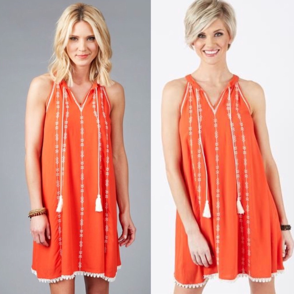 Evereve Braeve embroidered tassel dress